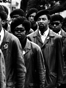 the black panthers