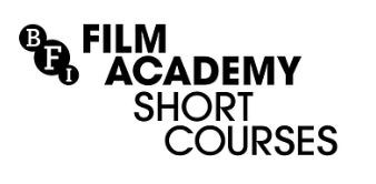 BFI FA SC