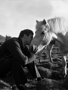 Bobby Fischer Against the World