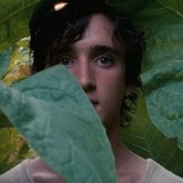 Happy as Lazzaro