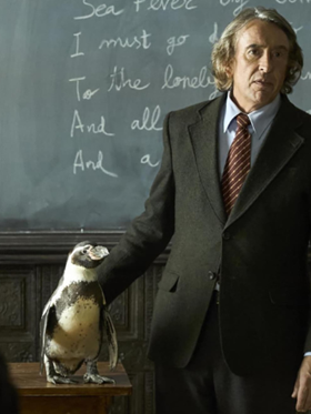 penguin lessons